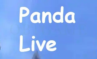 Panda Live TV 19+ Korean Account PandaLive Hearts Cash Points