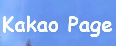 Verified Kakao Page 19+ Account Cash Points Gift Card