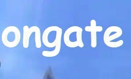 Verified ongate Korea Account - knight, Nine Dragons Fight, Rohan