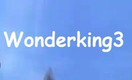 Verified Wonderking3 Korean Account 