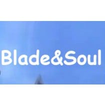 Verified Blade&Soul NEO NCsoft Korea Account