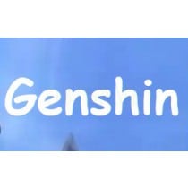 Chinese miHoYo Genshin Impact Account