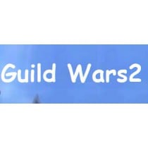 Guild Wars2 China/CN Account CD Key