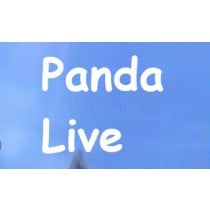 Panda Live TV 19+ Korean Account PandaLive Hearts Cash Points