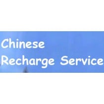 Representative Agent for Chinese Game Products