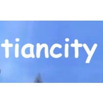 Chinese tiancity.com 世纪天成 Account