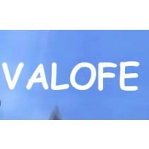 Valofe vfun Korean Account