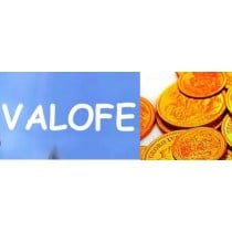 Valofe vfun Korean Cash Points VCoin Cash Item