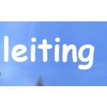 Verified Chinese leiting Game Platform Account