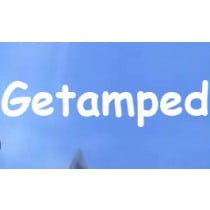 Verified Getamped Korean Account