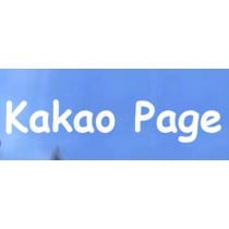 Verified Kakao Page 19+ Account Cash Points Gift Card