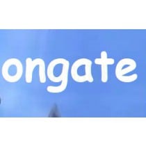 Verified ongate Korea Account - knight, Nine Dragons Fight, Rohan