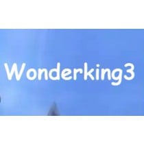Verified Wonderking3 Korean Account