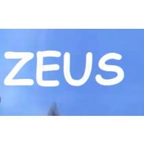 Verified ZEUS Korea Account