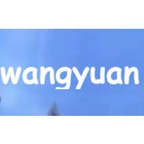 wangyuan Swords of Legends Online Account Cash Points 网元圣唐-古剑奇谭