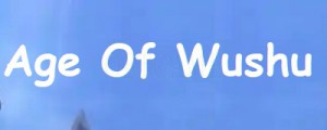 Age Of Wushu Chinese Server Account
