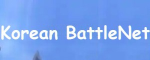 BattleNet Korean Platform Account