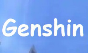 Chinese miHoYo Genshin Impact Account
