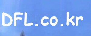 DFL.co.kr Account To Play Special Force, SF, VANN2 Online