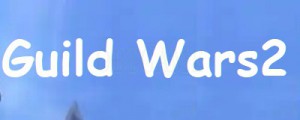 Guild Wars2 China/CN Account CD Key