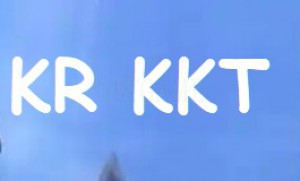 Korean KKT Account
