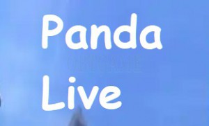 Panda Live TV 19+ Korean Account PandaLive Hearts Cash Points