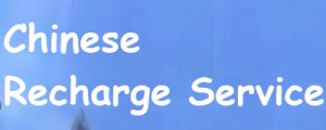 Representative Agent for Chinese Game Products