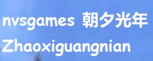 Verified Chinese nvsgames Zhaoxiguangnian 朝夕光年 Account