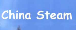 Verified Chinese Steam Account for DOTA2, CSGO