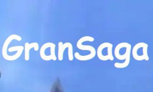 Verified GranSaga PC Version Korea Account