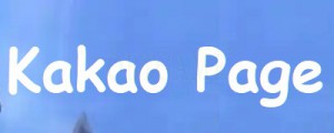 Verified Kakao Page 19+ Account Cash Points Gift Card