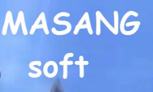 Verified Masang Korean Account