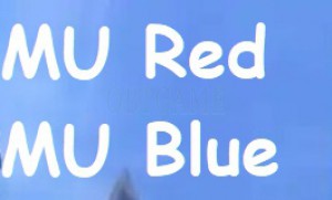 Verified MU Red MU Blue Online KR Account