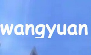 wangyuan Swords of Legends Online Account Cash Points 网元圣唐-古剑奇谭