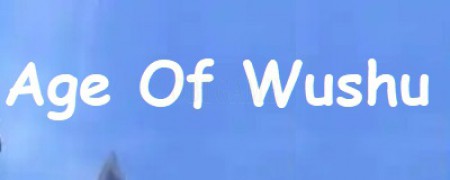 Age Of Wushu Chinese Server Account