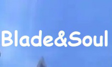 Verified Blade&Soul NEO NCsoft Korea Account