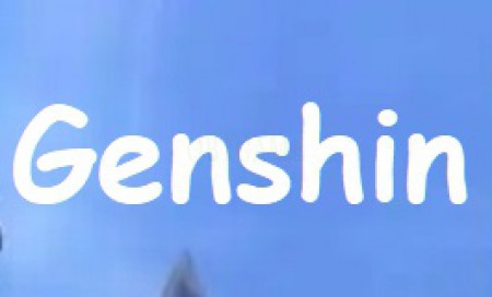 Chinese miHoYo Genshin Impact Account