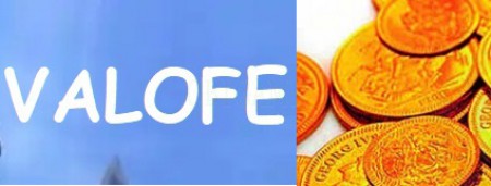 Valofe vfun Korean Cash Points VCoin Cash Item