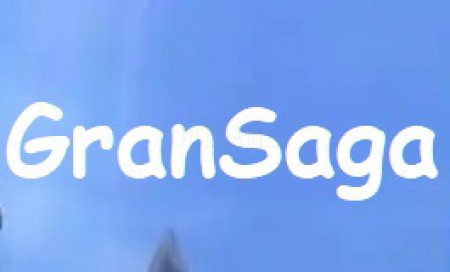Verified GranSaga PC Version Korea Account