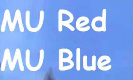 Verified MU Red MU Blue Online KR Account