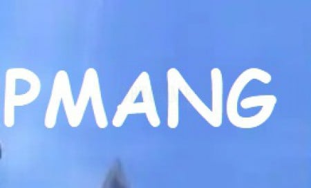 Verified PMANG Account For Black Squad, AVA, RaiderZ, S4league, Silkroad