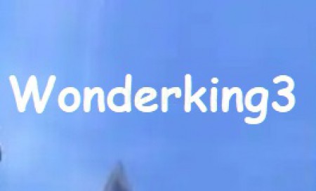 Verified Wonderking3 Korean Account
