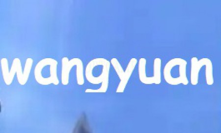wangyuan Swords of Legends Online Account Cash Points 网元圣唐-古剑奇谭