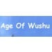 Age Of Wushu Chinese Server Account