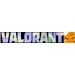Korea Valorant Points/VP