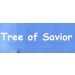 Verified Tree of Savior Nexon Korean Account